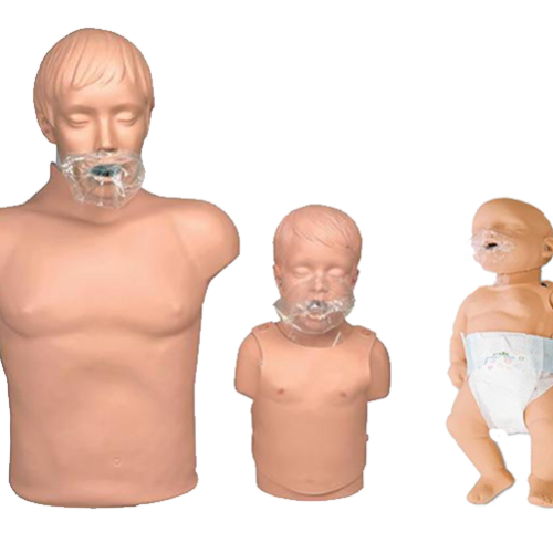 CPR Family (Yetişkin-Çocuk-Bebek)